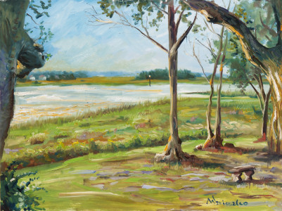 Charleston Marsh