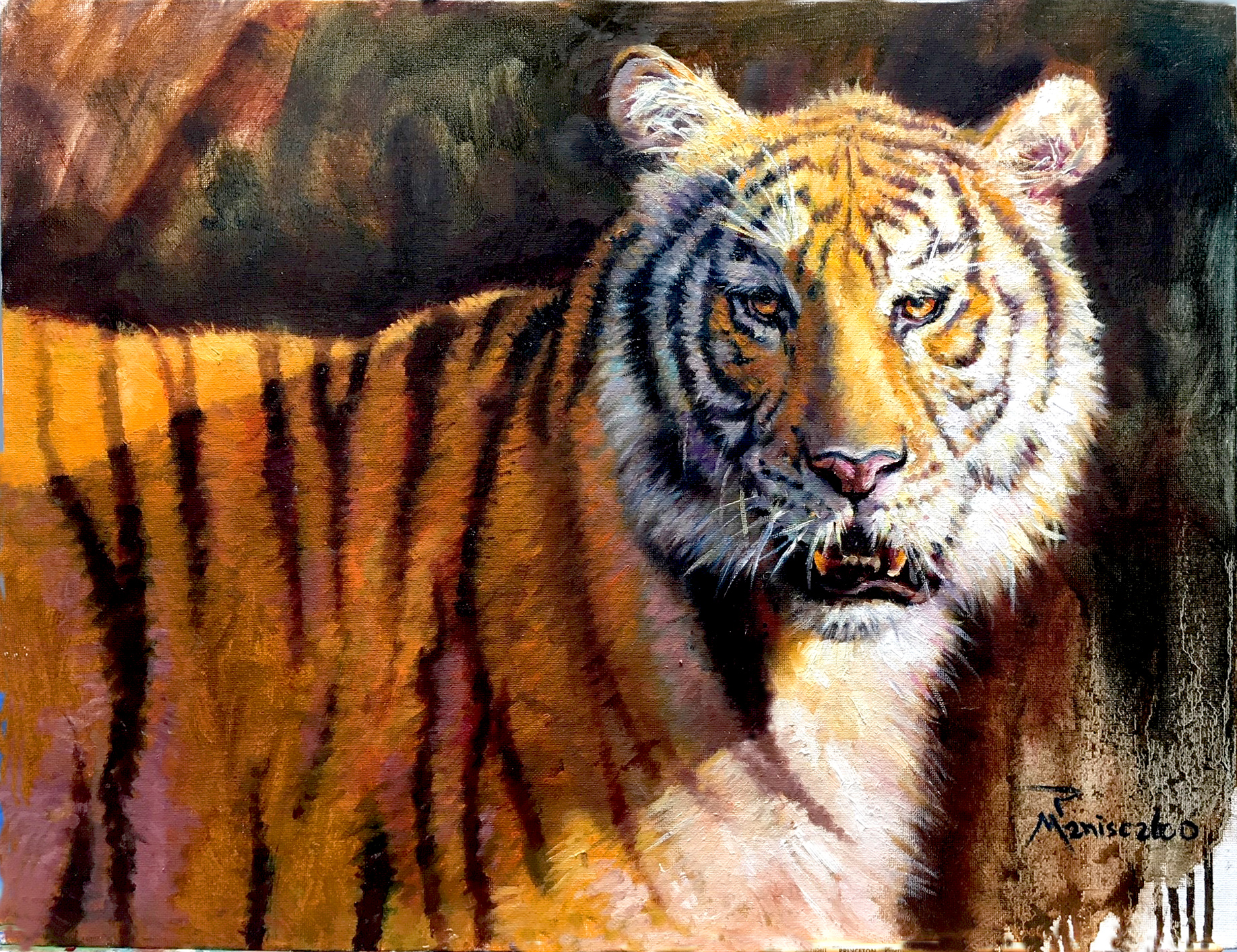 Bengal tiger